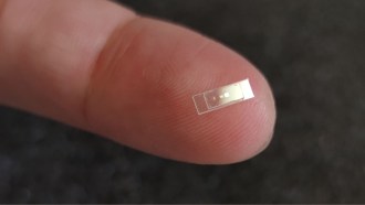 A close up photo of a tiny transparent rectangle sitting on the tip of a person's finger.