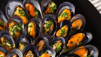 Mussels on dinner plate