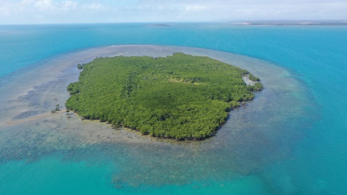 An aerial photo of an island with mangroves visible in a bright blue body of water.