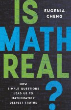 "Is Math Real?" book cover