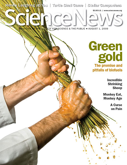 Green Gold: The promise and pitfalls of biofuels