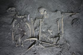 A photo of spider monkey bones found buried alongside eagle bones to the left and other animal bones