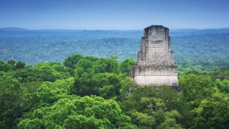 A tower emerges from the forest around the Maya city Tikal in Guatemala.