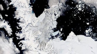 A satellite image of the Antarctic peninsula showing fractured sea ice in the ocean next to white land.