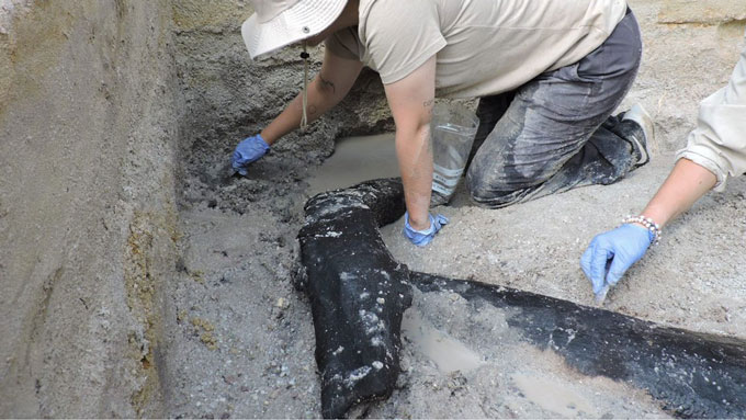 researchers unearthing the oldest known wooden structure