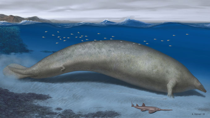 Illustration of the ancient whale Perucetus colossus